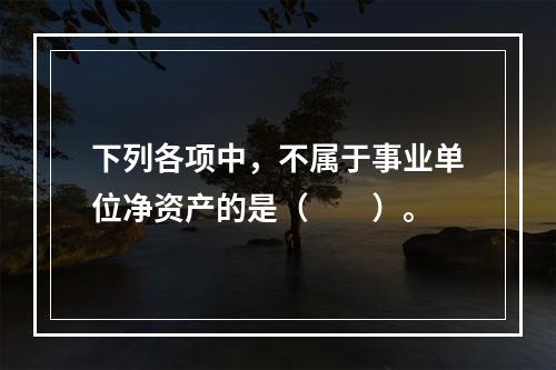 下列各项中，不属于事业单位净资产的是（　　）。