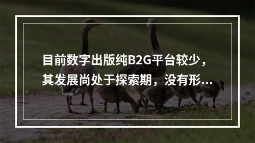 目前数字出版纯B2G平台较少，其发展尚处于探索期，没有形成成