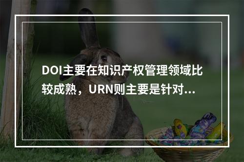 DOI主要在知识产权管理领域比较成熟，URN则主要是针对网络