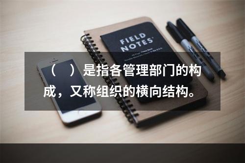 （　）是指各管理部门的构成，又称组织的横向结构。