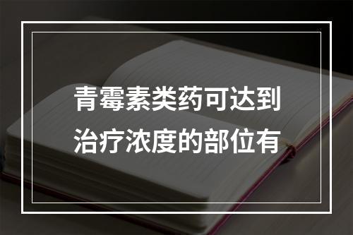 青霉素类药可达到治疗浓度的部位有