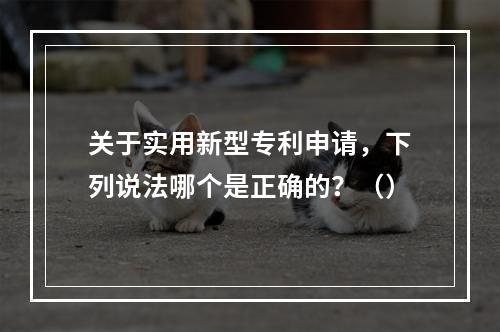 关于实用新型专利申请，下列说法哪个是正确的？（）