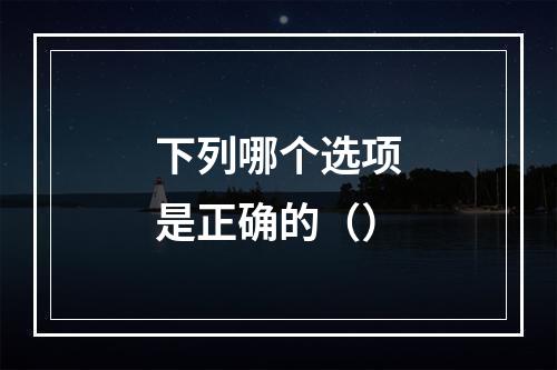 下列哪个选项是正确的（）