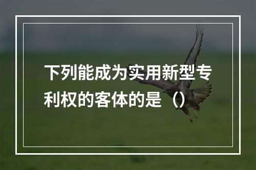 下列能成为实用新型专利权的客体的是（）