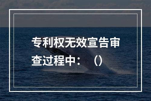 专利权无效宣告审查过程中：（）