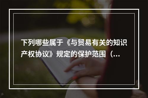 下列哪些属于《与贸易有关的知识产权协议》规定的保护范围（）