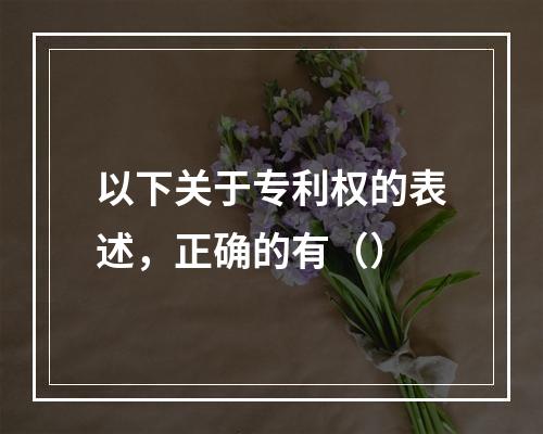 以下关于专利权的表述，正确的有（）