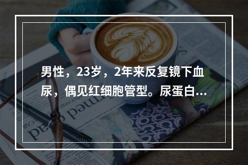 男性，23岁，2年来反复镜下血尿，偶见红细胞管型。尿蛋白定量