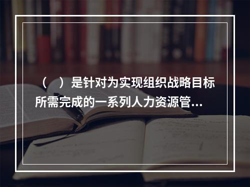 （　）是针对为实现组织战略目标所需完成的一系列人力资源管理