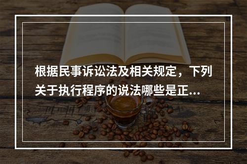 根据民事诉讼法及相关规定，下列关于执行程序的说法哪些是正确的