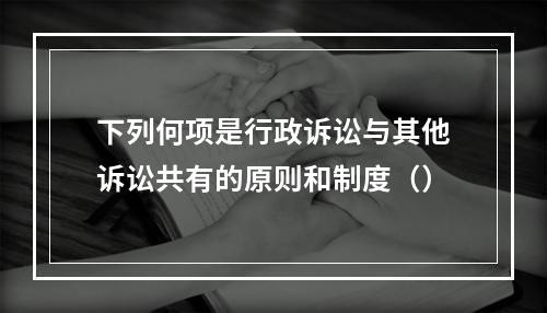 下列何项是行政诉讼与其他诉讼共有的原则和制度（）