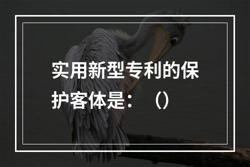 实用新型专利的保护客体是：（）