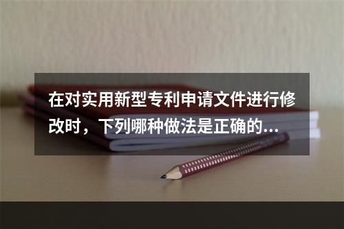 在对实用新型专利申请文件进行修改时，下列哪种做法是正确的？（