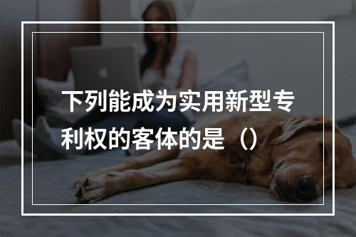 下列能成为实用新型专利权的客体的是（）