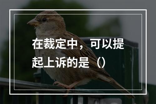 在裁定中，可以提起上诉的是（）