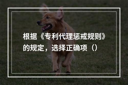 根据《专利代理惩戒规则》的规定，选择正确项（）