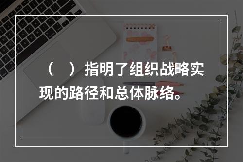 （　）指明了组织战略实现的路径和总体脉络。