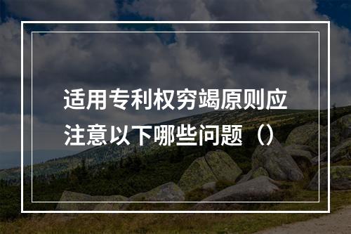 适用专利权穷竭原则应注意以下哪些问题（）