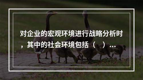 对企业的宏观环境进行战略分析时，其中的社会环境包括（　）。