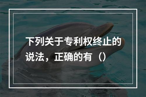 下列关于专利权终止的说法，正确的有（）