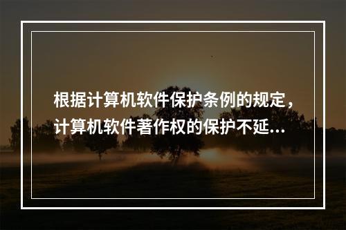 根据计算机软件保护条例的规定，计算机软件著作权的保护不延及下