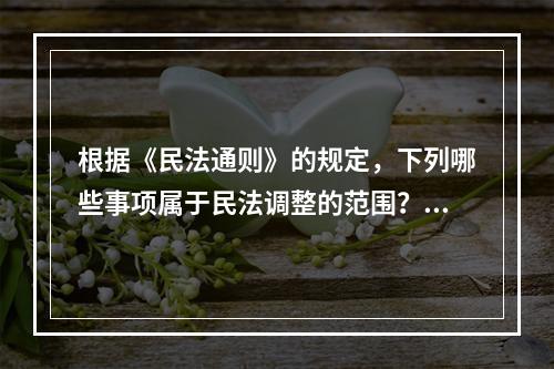 根据《民法通则》的规定，下列哪些事项属于民法调整的范围？（）