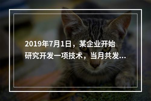 2019年7月1日，某企业开始研究开发一项技术，当月共发生研