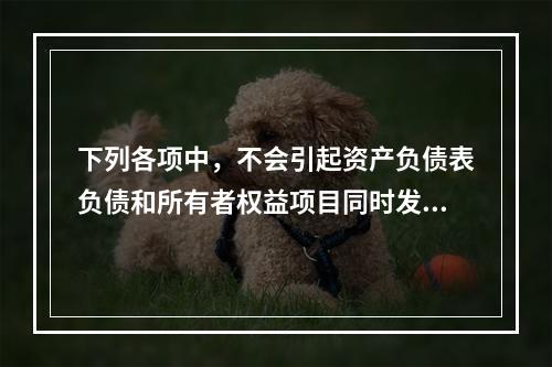 下列各项中，不会引起资产负债表负债和所有者权益项目同时发生变