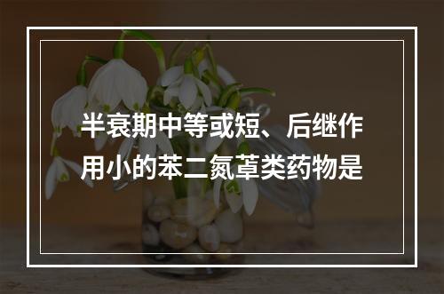 半衰期中等或短、后继作用小的苯二氮䓬类药物是