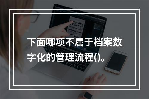 下面哪项不属于档案数字化的管理流程()。