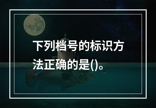 下列档号的标识方法正确的是()。