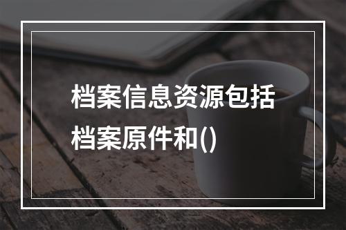 档案信息资源包括档案原件和()