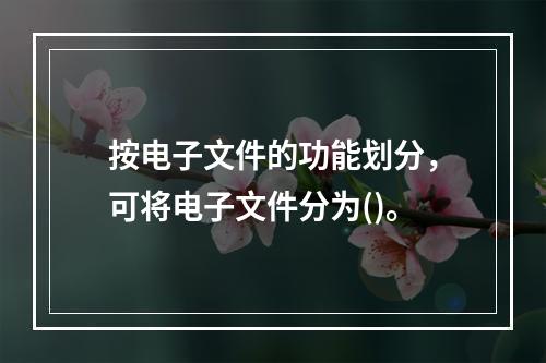 按电子文件的功能划分，可将电子文件分为()。