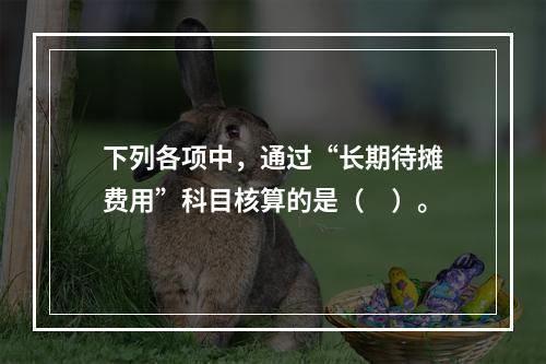 下列各项中，通过“长期待摊费用”科目核算的是（　）。