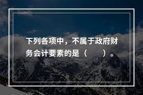 下列各项中，不属于政府财务会计要素的是（　　）。