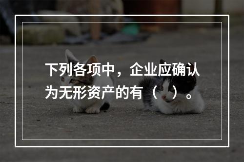 下列各项中，企业应确认为无形资产的有（　）。