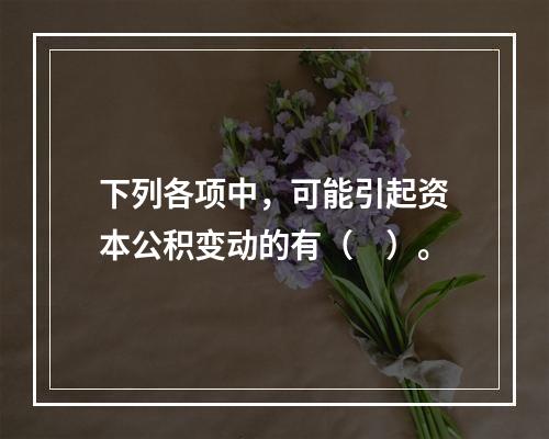 下列各项中，可能引起资本公积变动的有（　）。