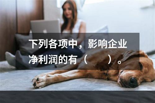 下列各项中，影响企业净利润的有（　　）。