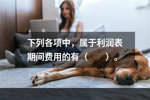 下列各项中，属于利润表期间费用的有（　　）。