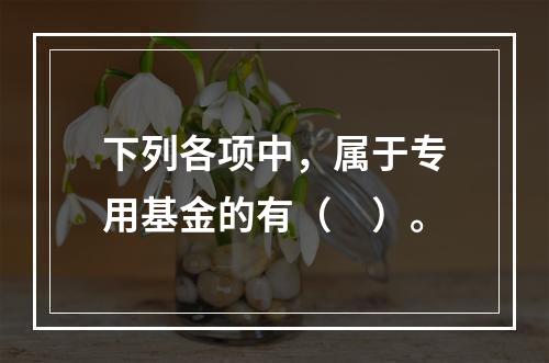 下列各项中，属于专用基金的有（　）。