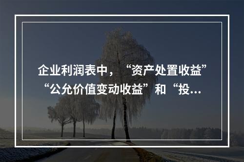 企业利润表中，“资产处置收益”“公允价值变动收益”和“投资收