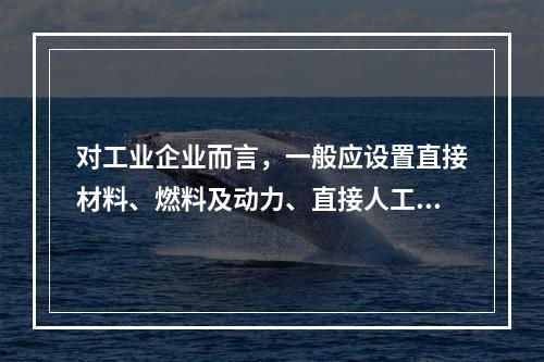 对工业企业而言，一般应设置直接材料、燃料及动力、直接人工、制