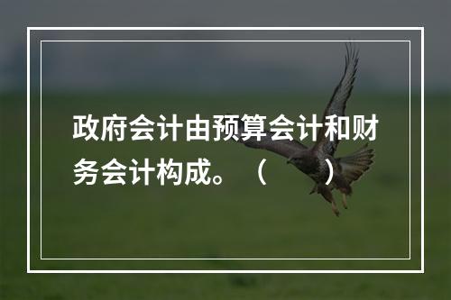 政府会计由预算会计和财务会计构成。（　　）