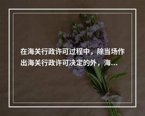 在海关行政许可过程中，除当场作出海关行政许可决定的外，海关应