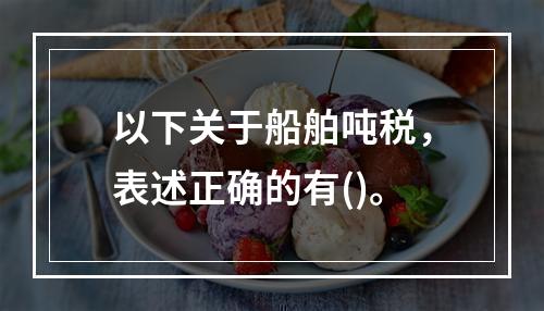 以下关于船舶吨税，表述正确的有()。