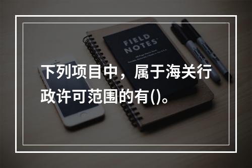 下列项目中，属于海关行政许可范围的有()。