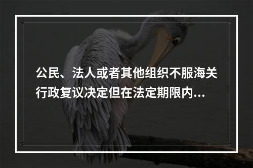 公民、法人或者其他组织不服海关行政复议决定但在法定期限内未提