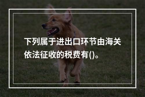 下列属于进出口环节由海关依法征收的税费有()。