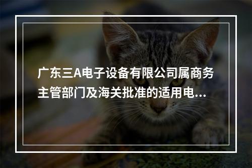 广东三A电子设备有限公司属商务主管部门及海关批准的适用电子账