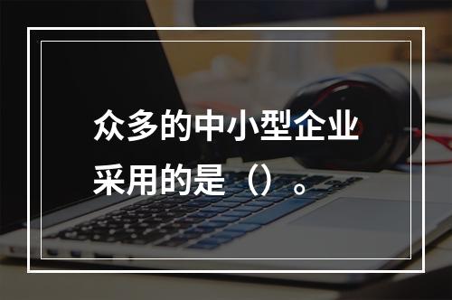 众多的中小型企业采用的是（）。